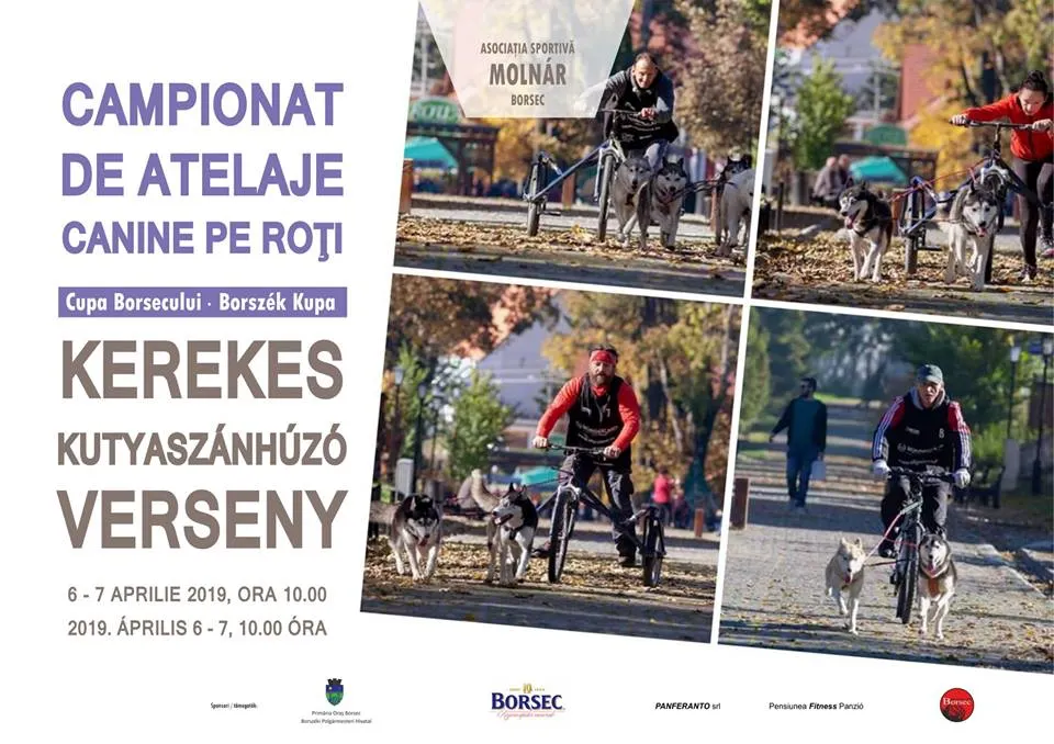 Asociaţia de Dezvoltare Intercomunitară Călimani - Giurgeu prezinţă evenimentele culturale ale săptămânii