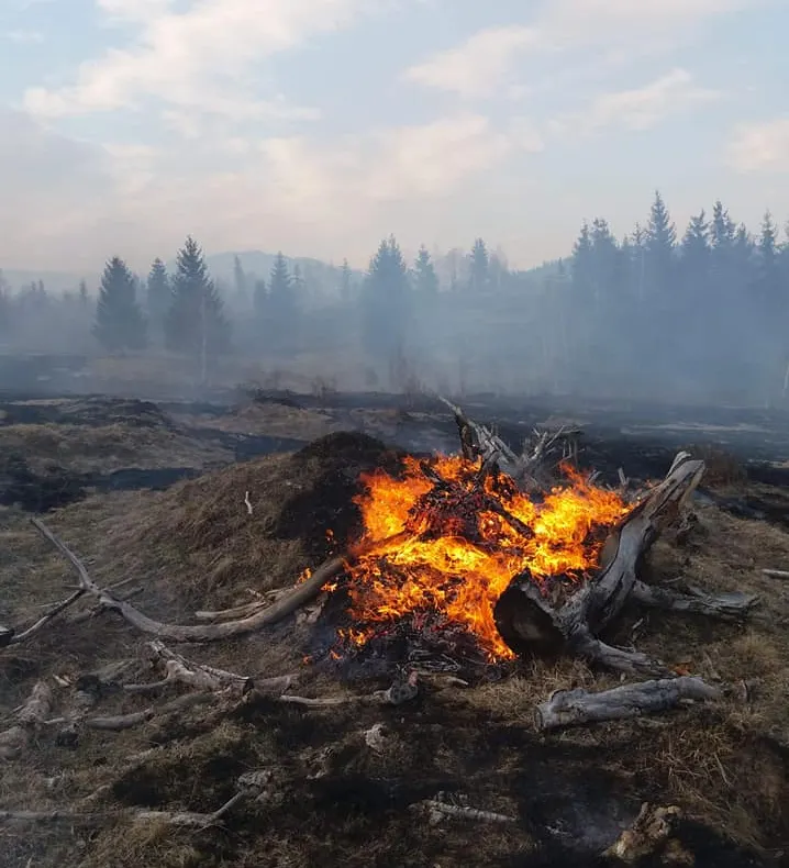 13 incendii de vegetaţie, în judeţul Harghita, doar în acest sfârşit de săptămână