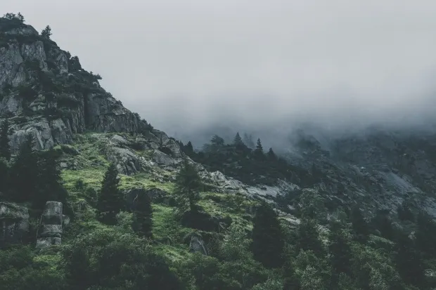 Tânăr rătăcit în zona montană de lângă Topliţa