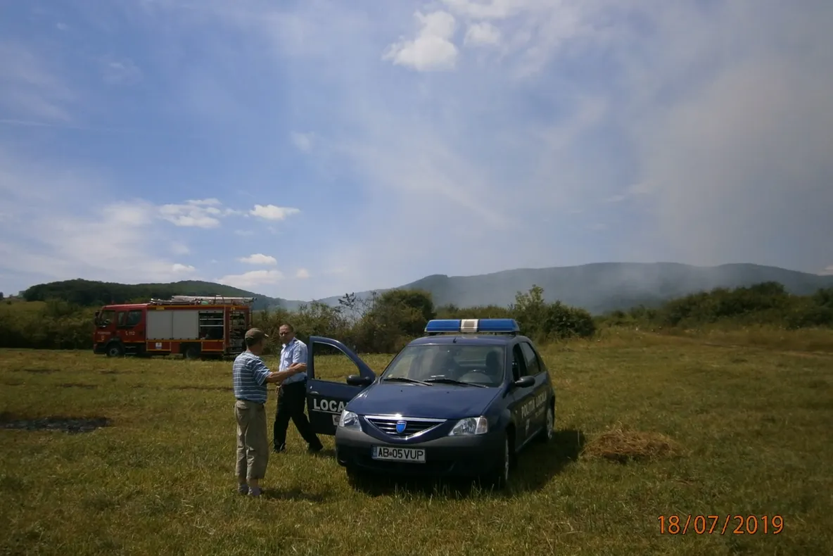 VIDEO Un ursuleţ jucăuş a oprit traficul, în apropiere de Tuşnad