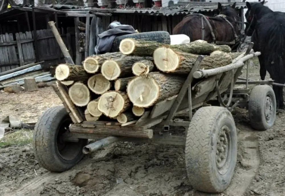 Un bărbat a murit după ce a fost strivit de căruţa cu lemne pe care o conducea, la Mărtiniş