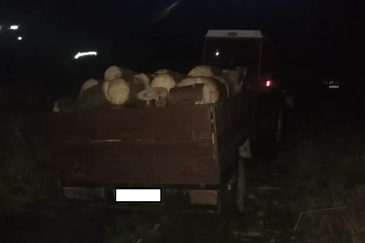 Amenzi în valoare de 22.000 de lei aplicate de către jandarmi la regimul silvic