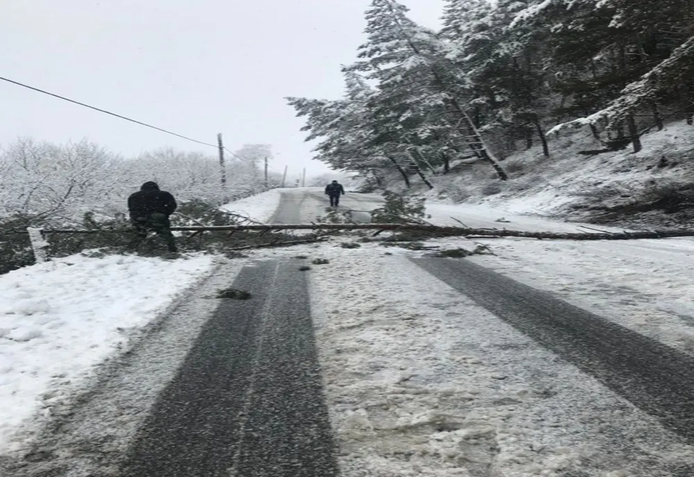 Patru localităţi harghitene, fără curent din cauza vremii nefavorabile