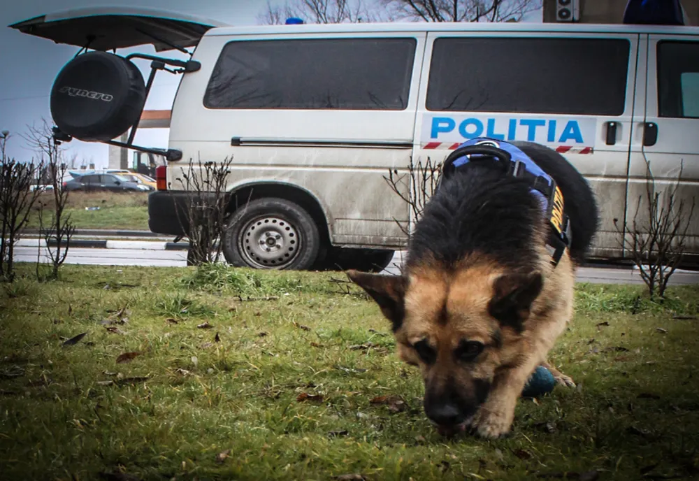 Copilă de 14 ani din Harghita dispărută de acasă, găsită în judeţul Mureş