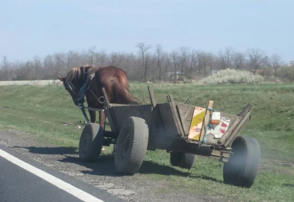Căruţă implicată într-un accident rutier