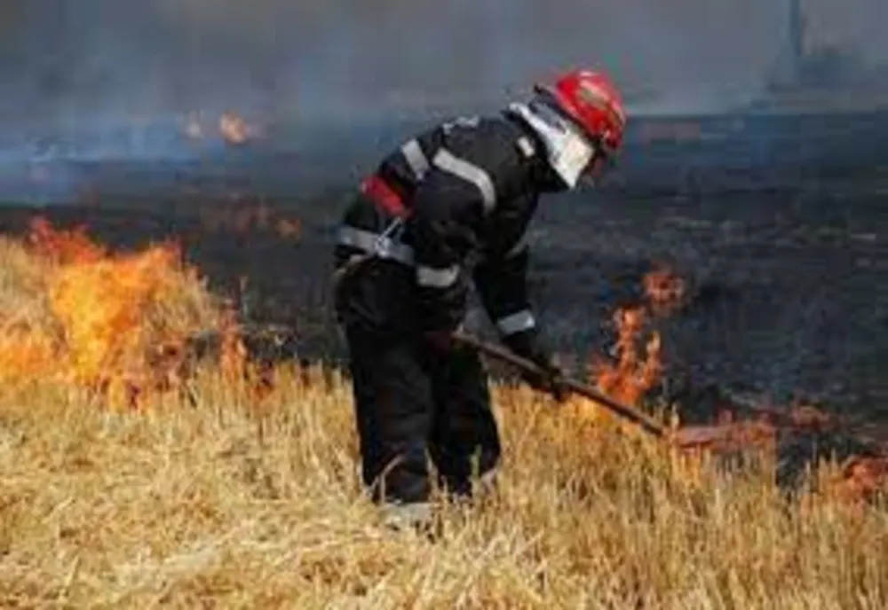 Incendiu de vegetaţie, în județul Harghita!