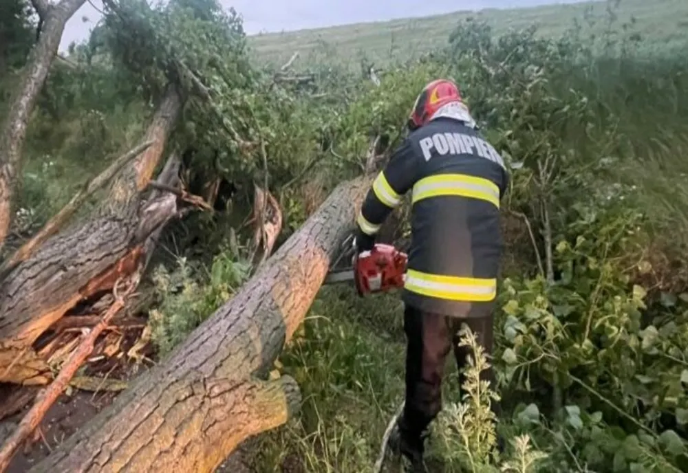 Arbori căzuți pe carosabil din cauza vremii nefavorabile