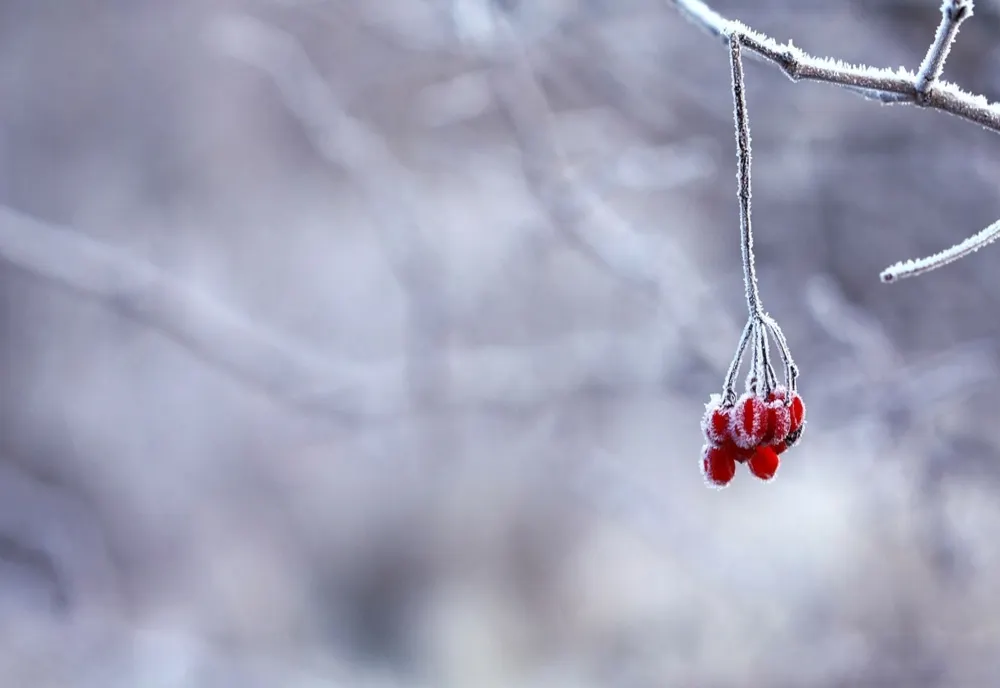 La Miercurea-Ciuc s-au înregistrat minus 6,3 grade Celsius, cea mai scăzută temperatură a sezonului