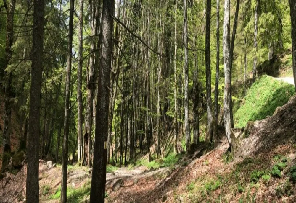 Harghita: Aproximativ 70% din totalul de 2.600 kilometri de trasee turistice ale judeţului, digitalizate de Salvamont