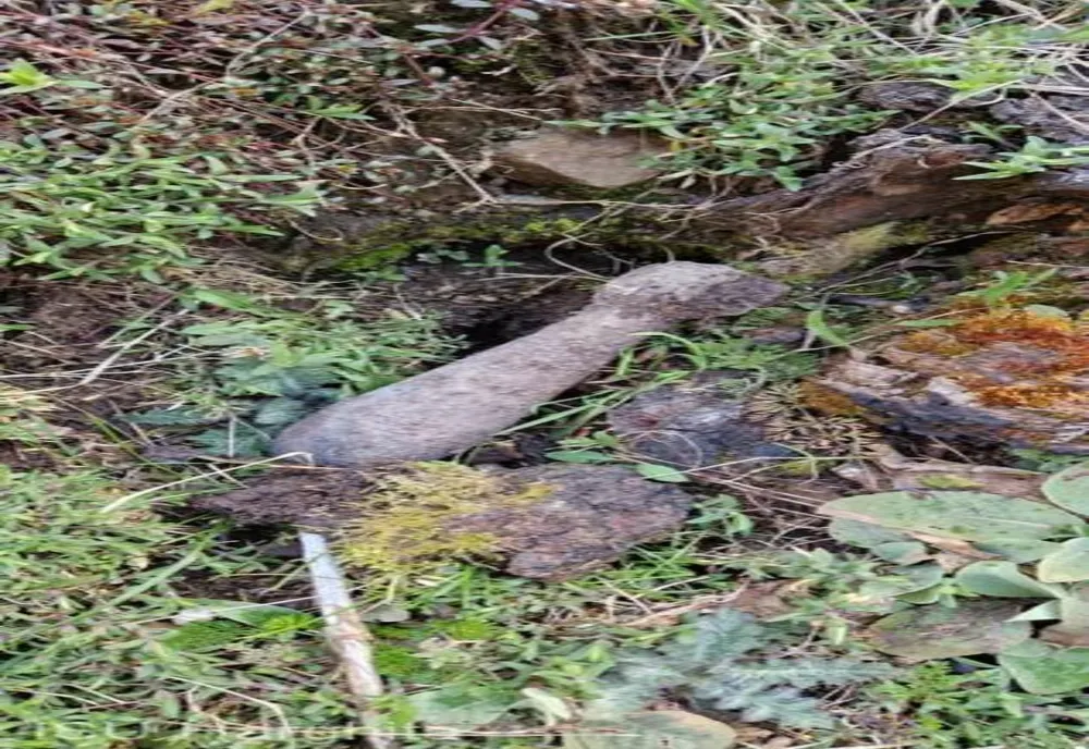 Element de muniţie, găsit de un localnic din Livezi-Ciuc în timp ce îşi săpa grădina
