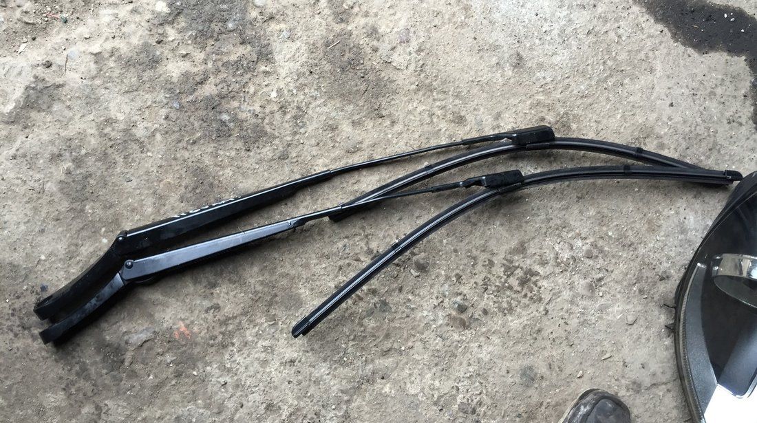 Doi tineri prinşi după ce au vandalizat o maşină