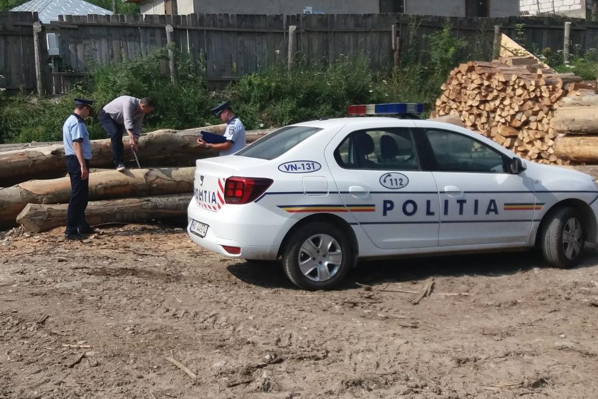 18.000 de lei amendă pentru furt de lemne