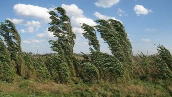 ULTIMĂ ORĂ: Cod galben de vreme severă imediată