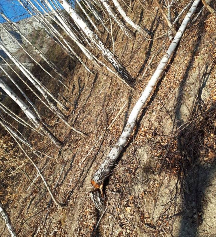 Municipiul Gheorgheni va avea un bazin de înot