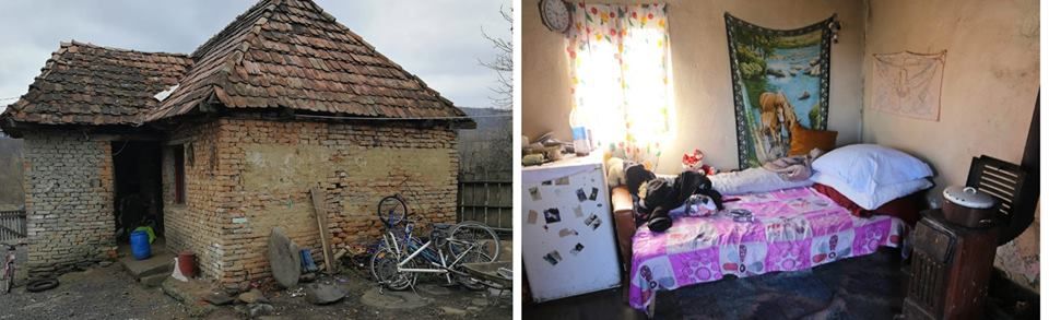 Consiliul Judeţean Harghita cere sprijin pentru a ajuta copiii lăsaţi orfani de o ursoaică înfometată