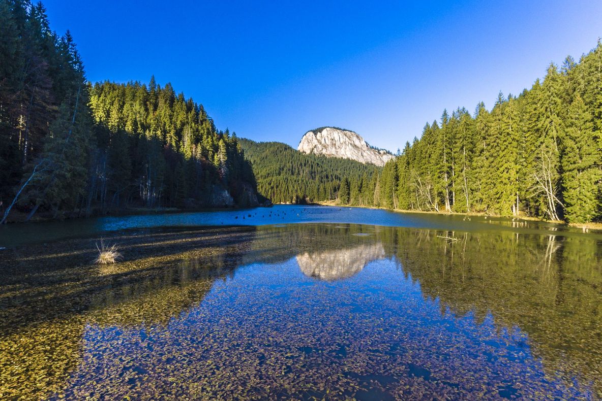 Aplicație pentru promovarea turistică a judeţului Harghita