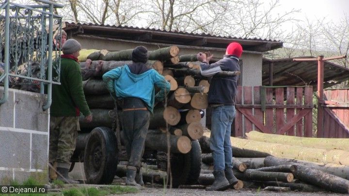 Un căruţaş care transporta lemn furat a fost prins de poliţiştii harghiteni