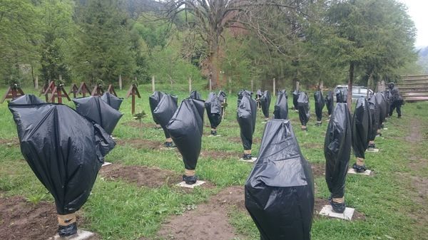 FOTO Crucile românilor din Valea Uzului, acoperite cu saci negri de plastic
