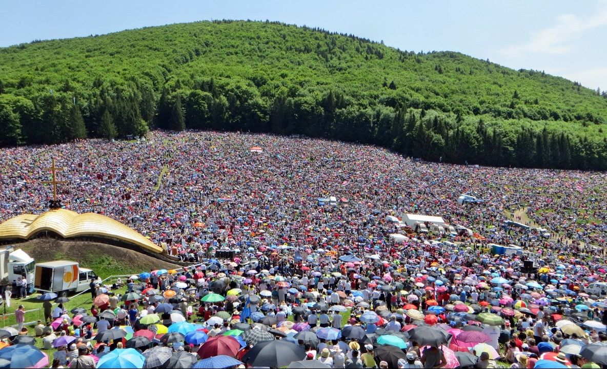 650.000 de puieţi plantaţi la Şumuleu Ciuc, cadou simbolic pentru Papa Francisc