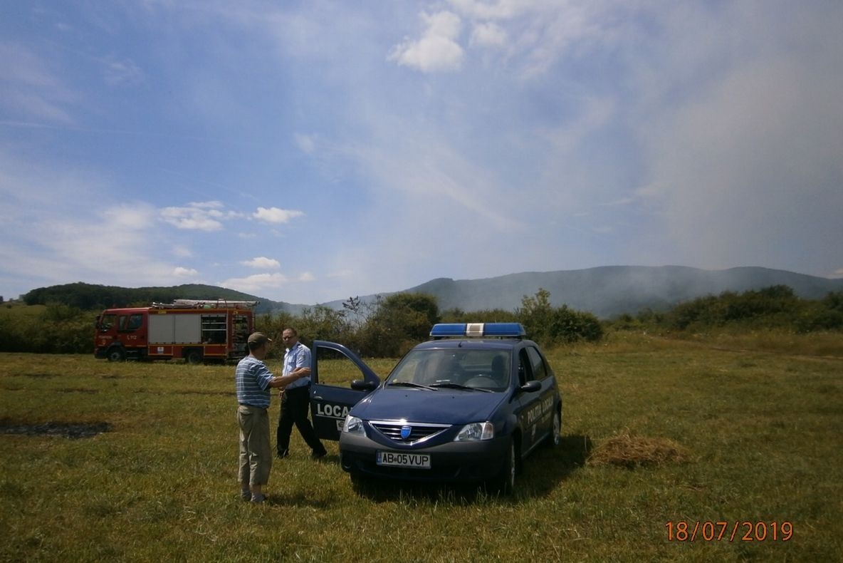 VIDEO Un ursuleţ jucăuş a oprit traficul, în apropiere de Tuşnad