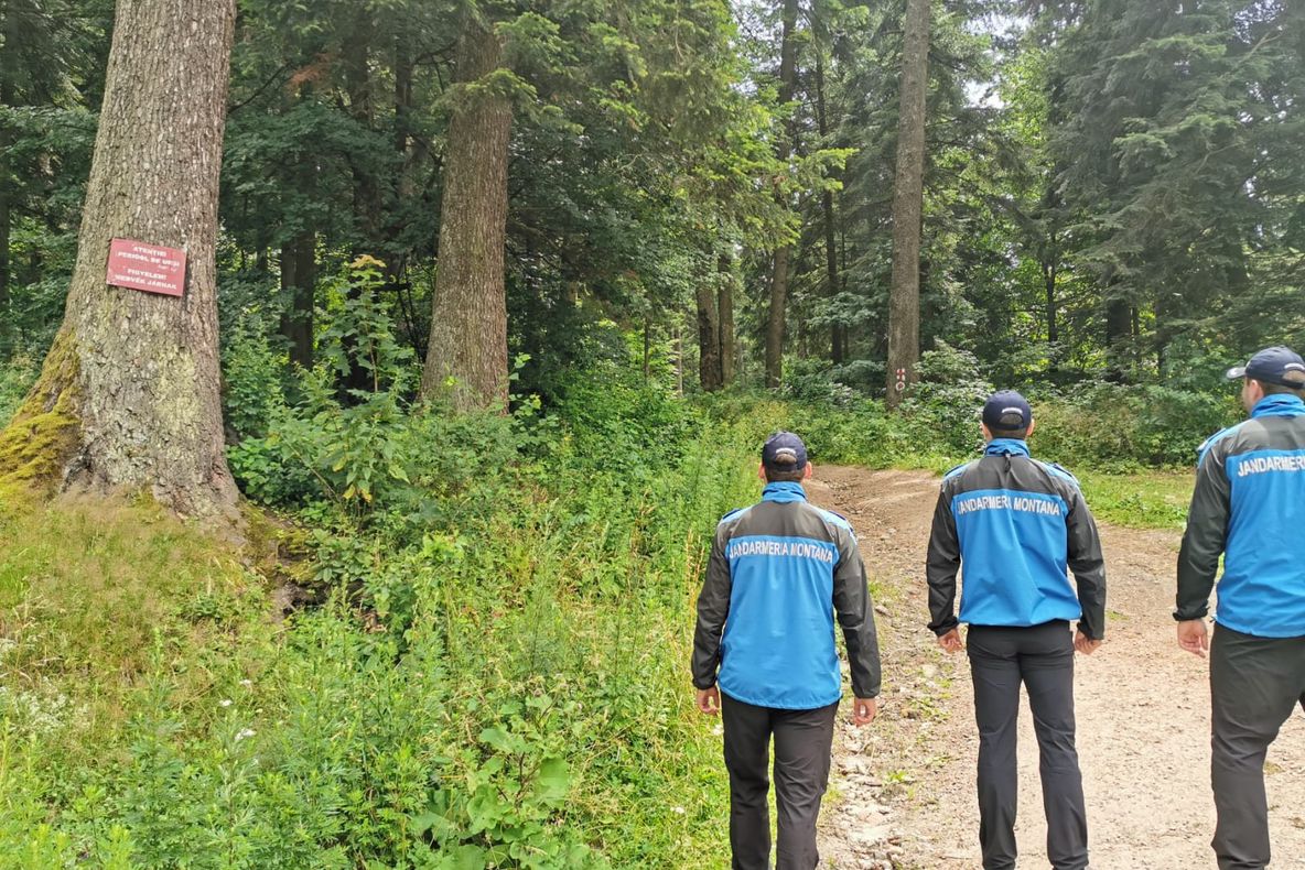 FOTO Un urs s-a rănit când a încercat să intre într-un hotel din Băile Tuşnad. Jandarmii monitorizeză zona