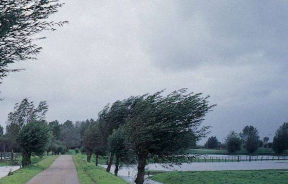 COD GALBEN de vânt puternic, în Harghita