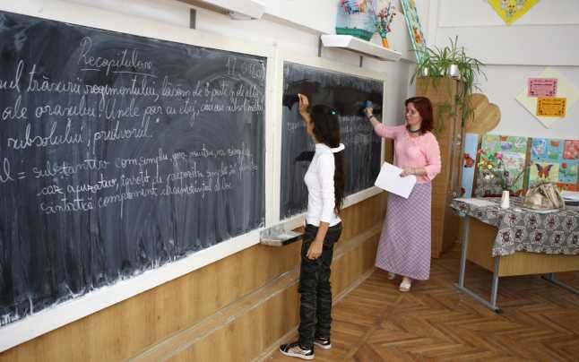 Se fac filtre rutiere pentru a nu ajunge pesta porcină în judeţul Harghita