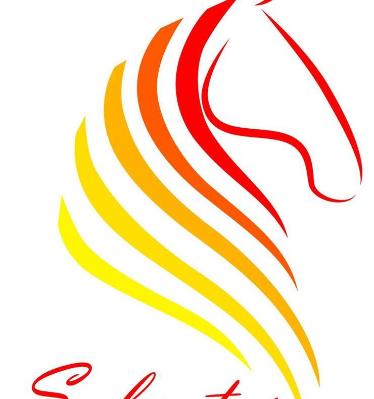 Gimnastică pe cal, la Gheorgheni