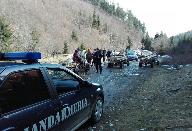 VIDEO Un pilot de ATV a fost găsit într-un șanț de jandarmii harghiteni