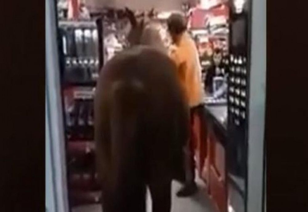  VIDEO | Ca să nu lase animalul singur afară, un bărbat din Buzău a intrat cu calul în supermarket 