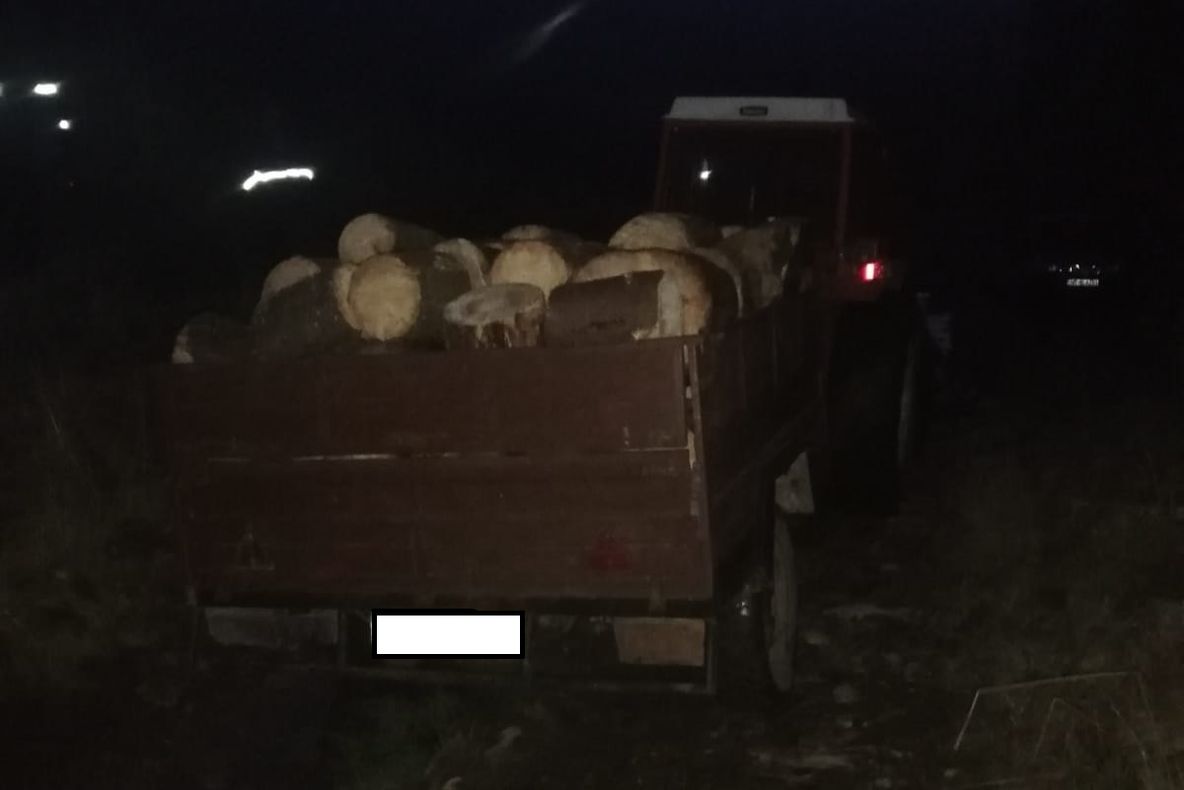 Amenzi în valoare de 22.000 de lei aplicate de către jandarmi la regimul silvic