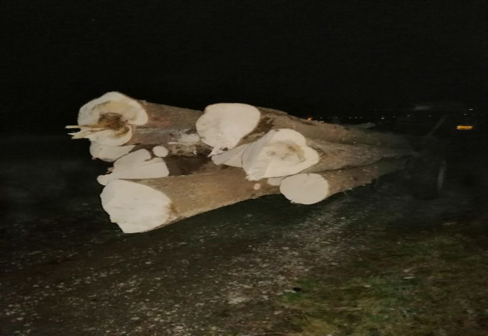 Amenzi în valoare de 3.500 de lei aplicate de către jandarmii harghiteni la regimul silvic