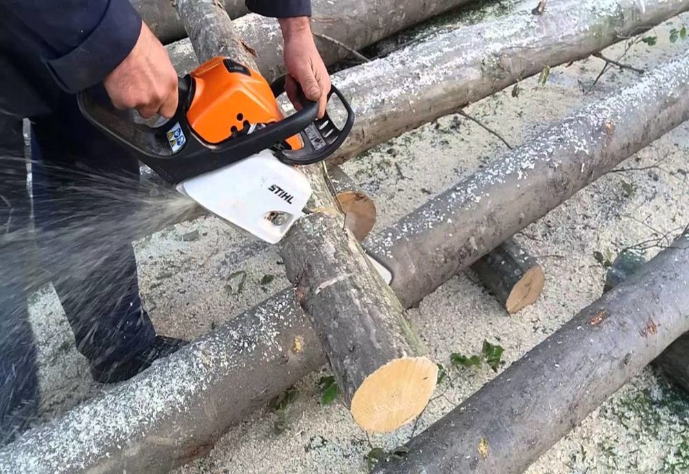 Dosar penal pentru infracţiuni silvice întocmit de poliţişti, pe numele unui loclanic de 49 de ani, din comuna Zetea