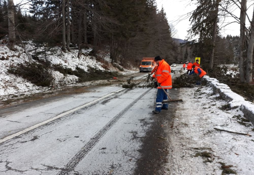 12 localități harghitene, fără energie electrică. Echipaje ISU Harghita intervin la Lacu Roșu pentru degajarea copacilor doborâți de vânt