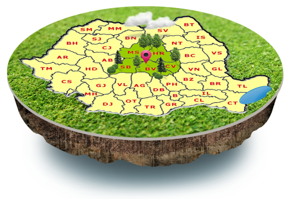 2.000 de lei amendă aplicată de Garda Forestieră pentru nereguli la regimul silvic