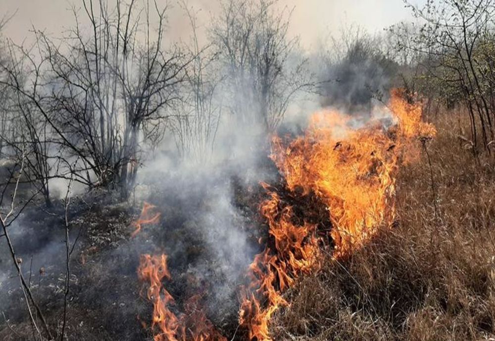 Incendiul de vegetaţie de la Mediaş, Gheorgheni, lichidat de pompierii harghiteni după aproape 20 de ore