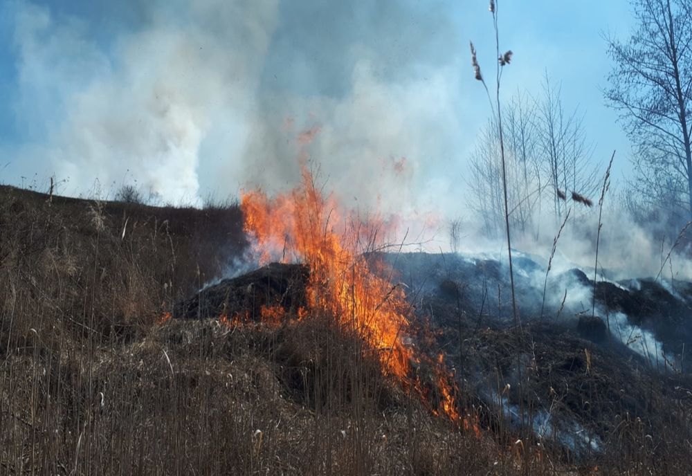 Încă un incendiu de vegetație în câteva ore. ISU Harghita: „Există pericolul de propagare la casele de locuit”