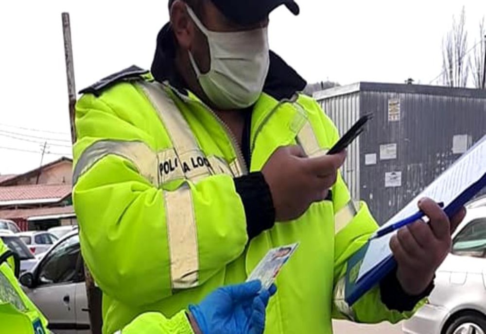 Zeci de amenzi în judeţul Harghita într-o singură zi. Un bărbat din Gheorgheni a fost sancţionat cu 5.000 lei pentru transport ilegal de lemne