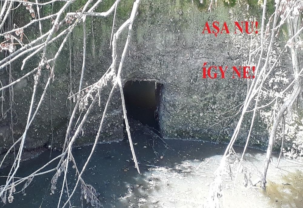 Fiți responsabili! Protejați apele și implicit mediul înconjurător! Îndemnul Gărzii de Mediu Harghita