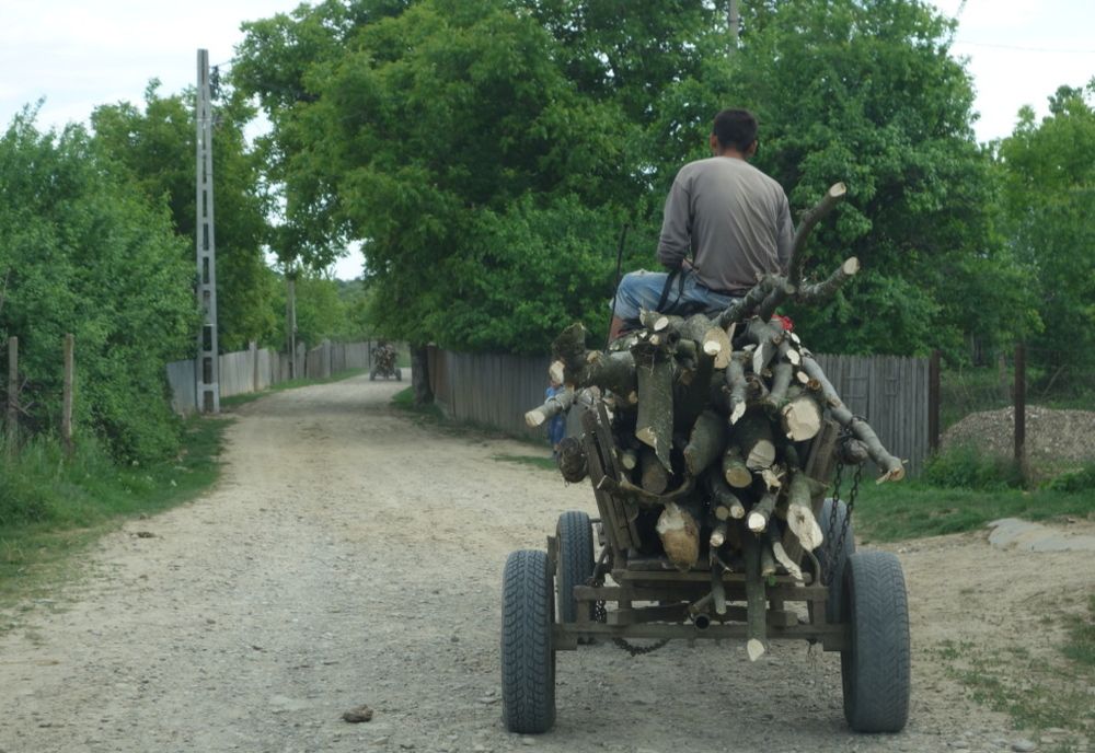 5.000 lei amendă pentru 3 mc de lemne 