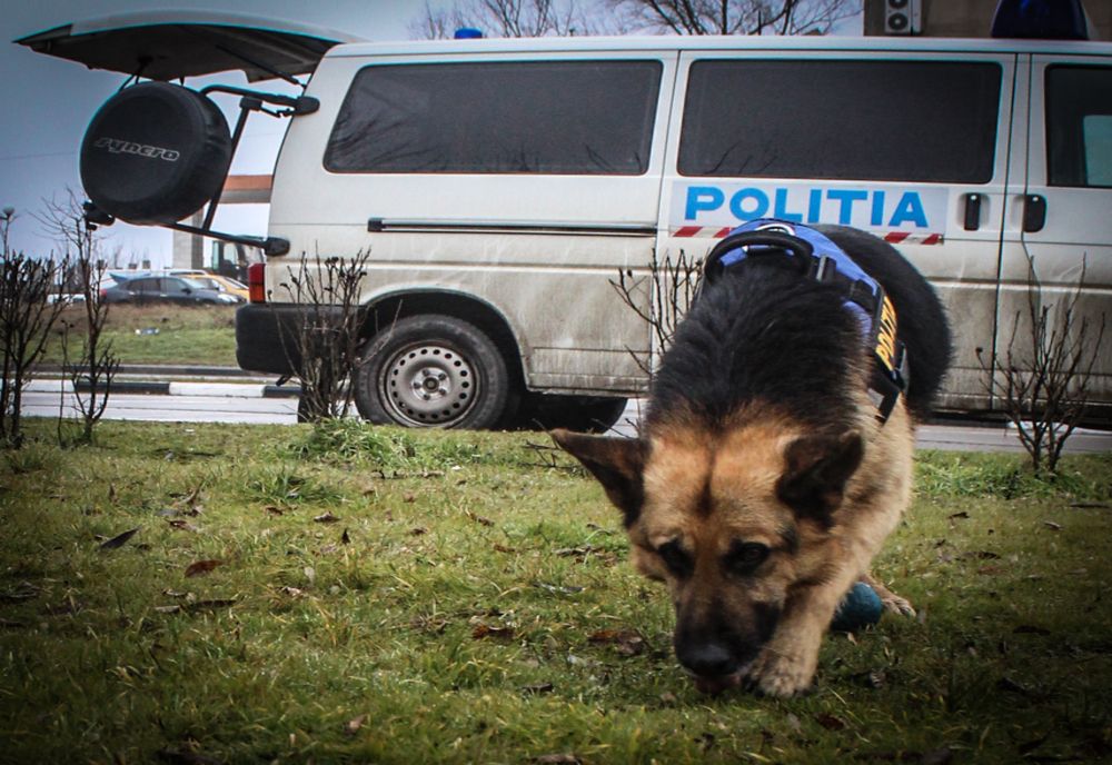 Copilă de 14 ani din Harghita dispărută de acasă, găsită în judeţul Mureş