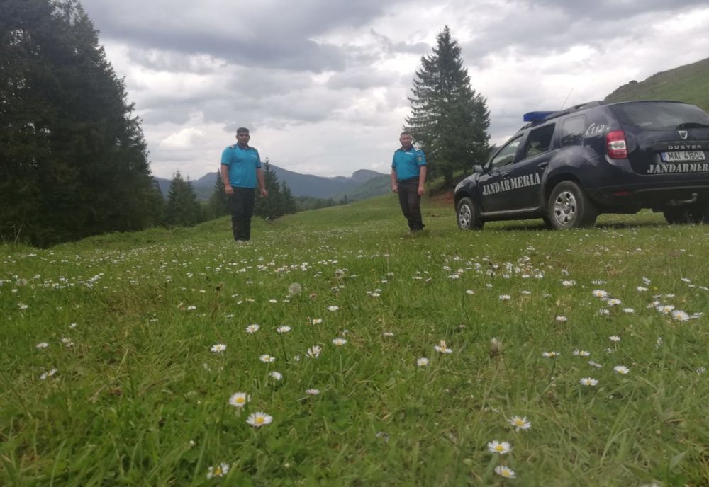 5 intervenții pentru înlăturarea urşilor și amenzi de 1.900 lei - Bilanţul Jandarmeriei Harghita în mini vacanţa de Rusalii