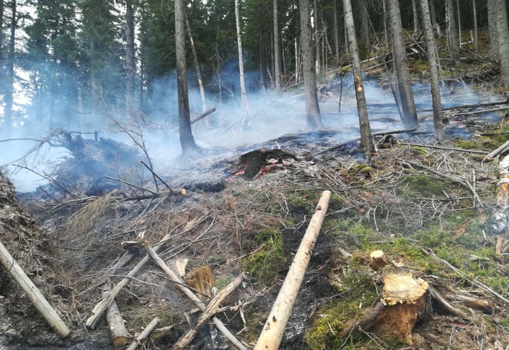 34 de percheziții, în județul Harghita!