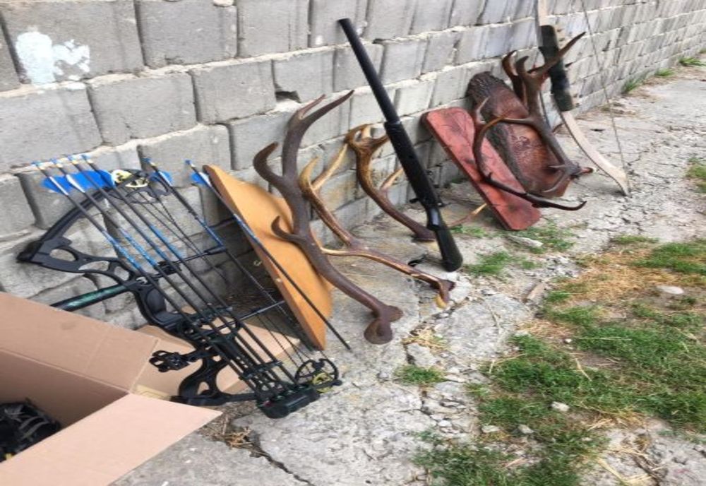 Arme şi trofee de cerb şi căprior descoperite de poliţiştii harghiteni la Cozmeni