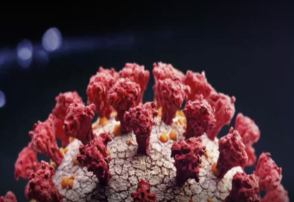 10 cazuri noi de infectare cu coronavirus, în județul Harghita! 20 de decese provocate de COVID-19