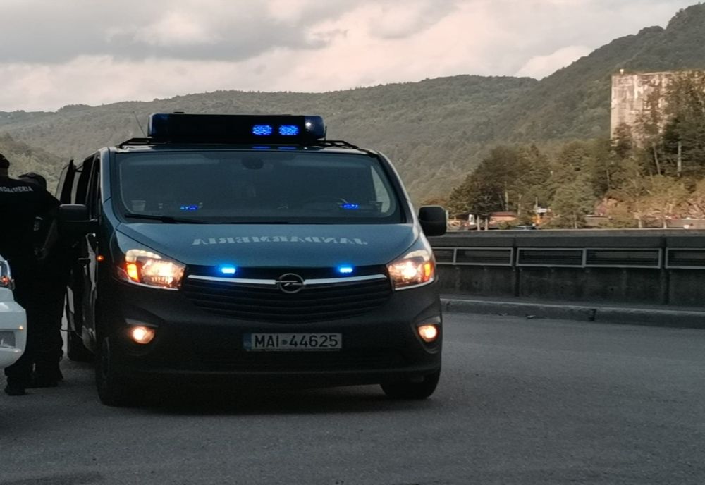 Weekend cu 5 apeluri pentru îndepărtarea urșilor!