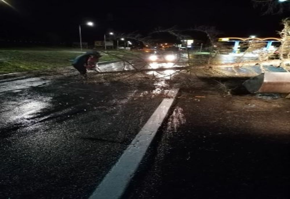 FOTO Copaci căzuți pe carosabil, pe DN15