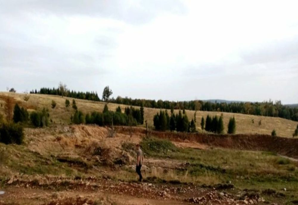 Amendă de 50.000 de lei dată de Garda de Mediu Harghita!