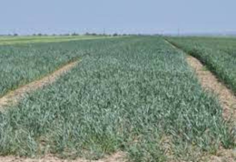 Pentru perioada de tranziție, coeficienții pe baza cărora se calculează dimensiunea economică a exploatațiilor rămân neschimbați