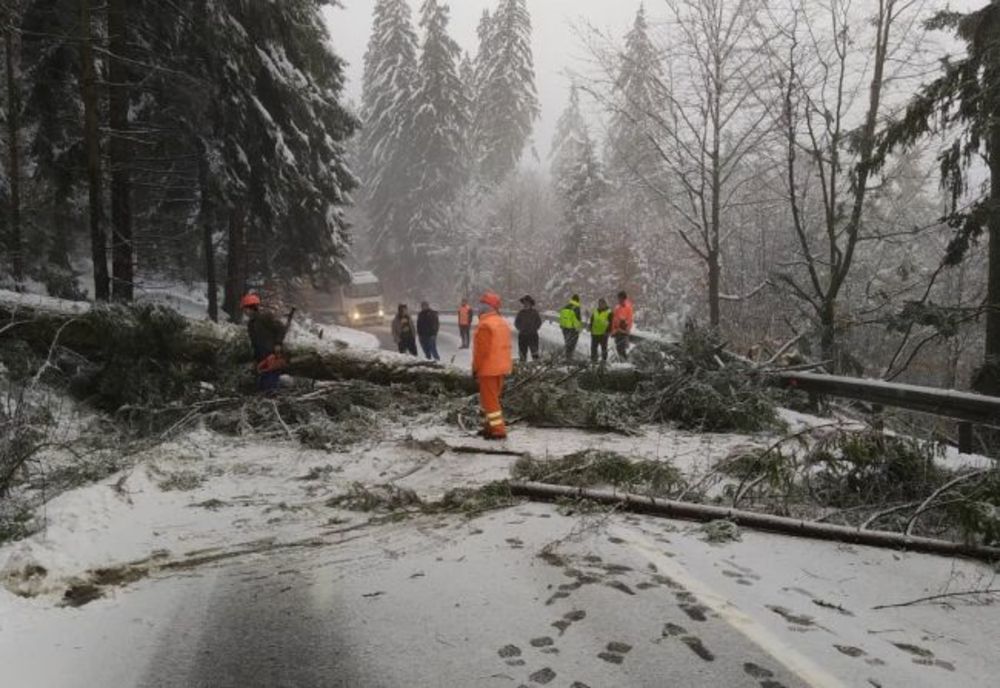 Copaci căzuți pe drum, la Băile Tușnad